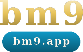 bm9 logo